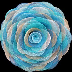 Blue Rose wall art
